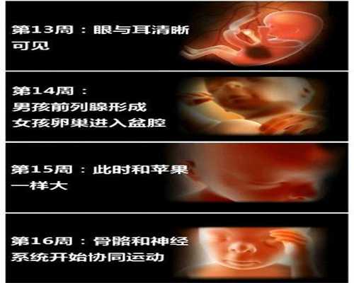 深圳没有代孕公司吗_为什么孕期抵抗力差