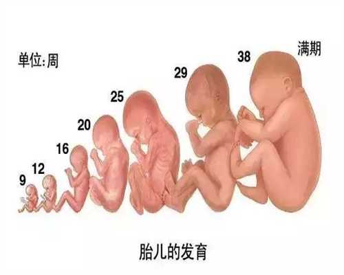 深圳代孕孩子费用_宫外孕保守治疗后备孕怎样做