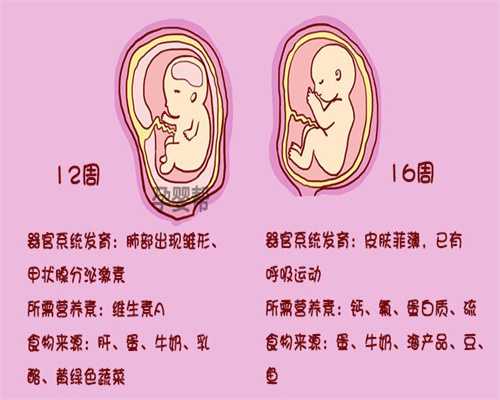 深圳代孕医院服务_怀孕几个月开始侧卧睡