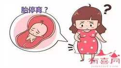 深圳代孕双胞胎包成功多少钱_怀孕两个月人流痛吗