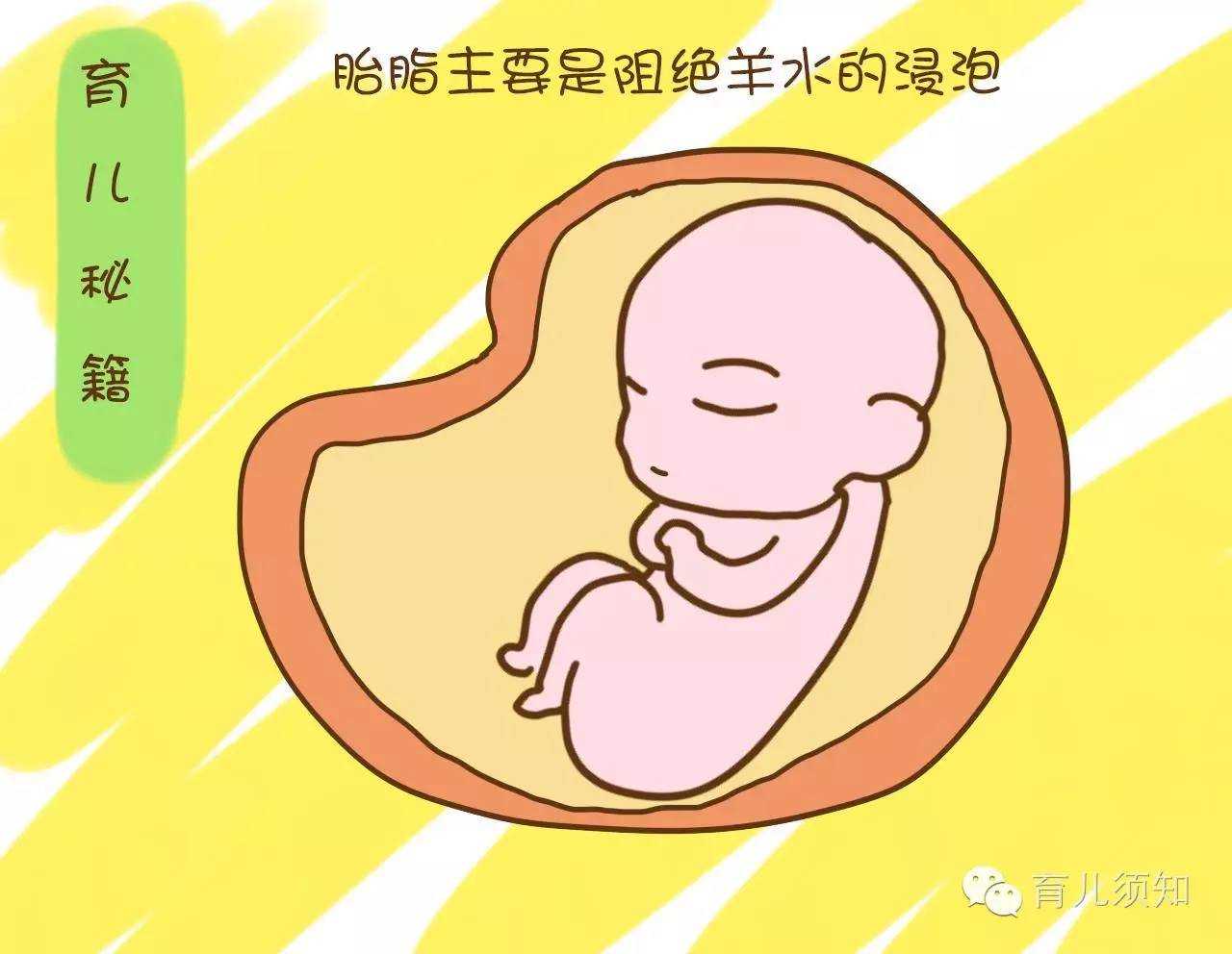 广东单身找代孕_妊高症对胎儿影响