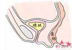 代孕网_做代孕哪里成功率高_7个月代孕妇胃痛怎么办