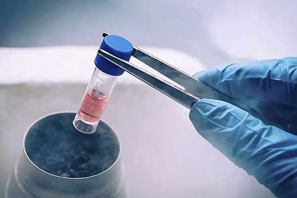 深圳武警医院做试管鲜胚移植的成功率高吗？